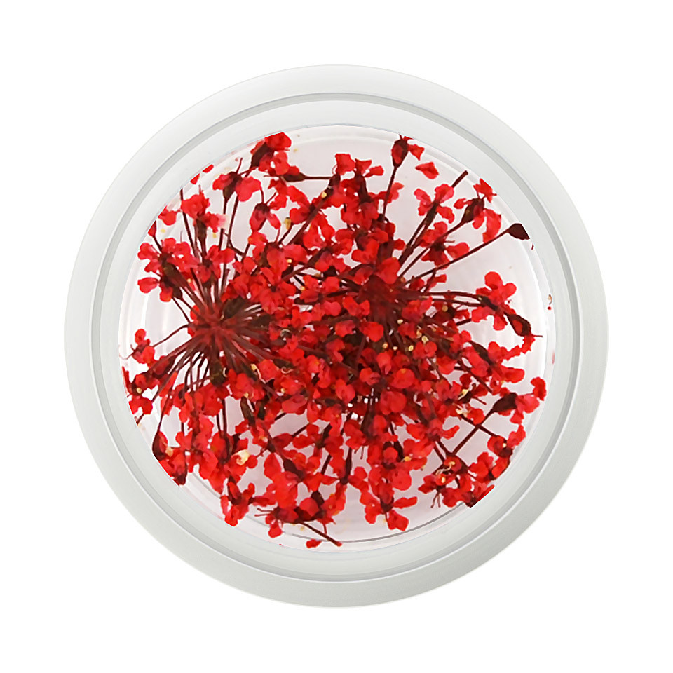 Floare uscata naturala unghii – Red Velvet cu Comanda Online