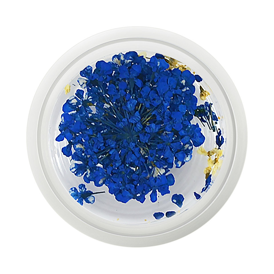 Floare uscata naturala unghii – Sapphire cu Comanda Online