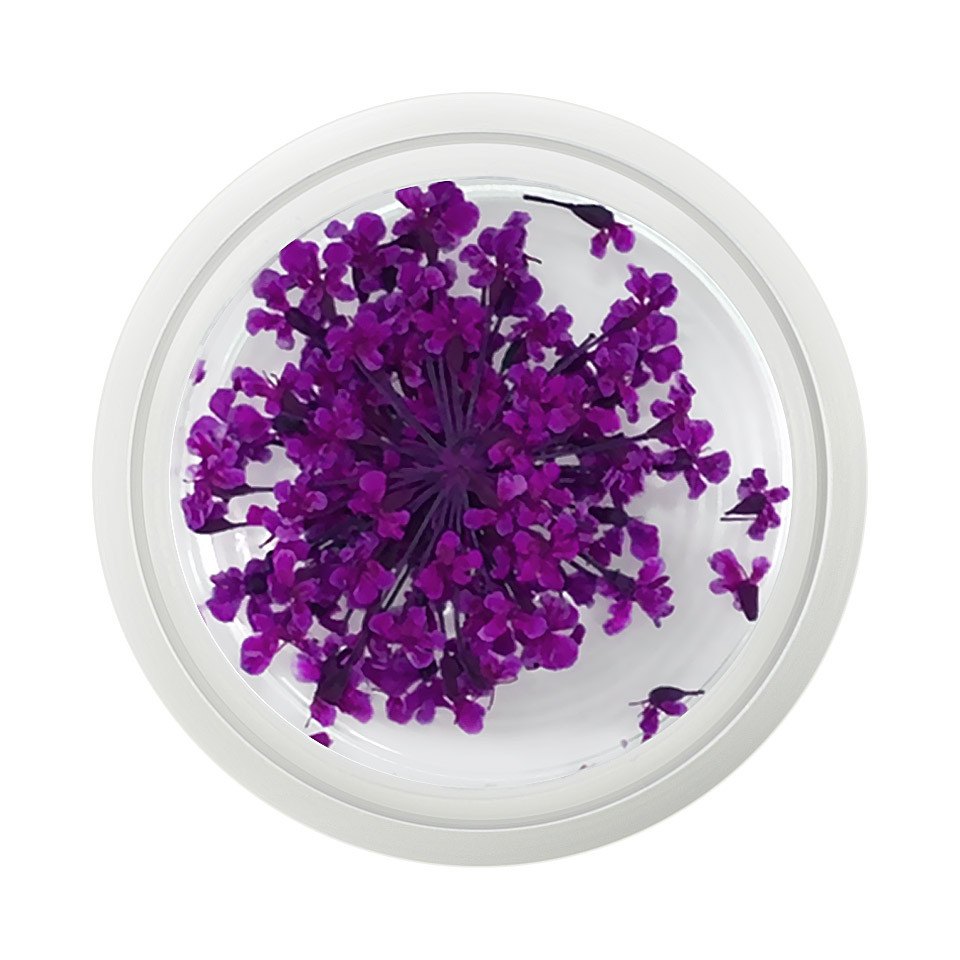 Floare uscata naturala unghii – Soft Violet cu Comanda Online