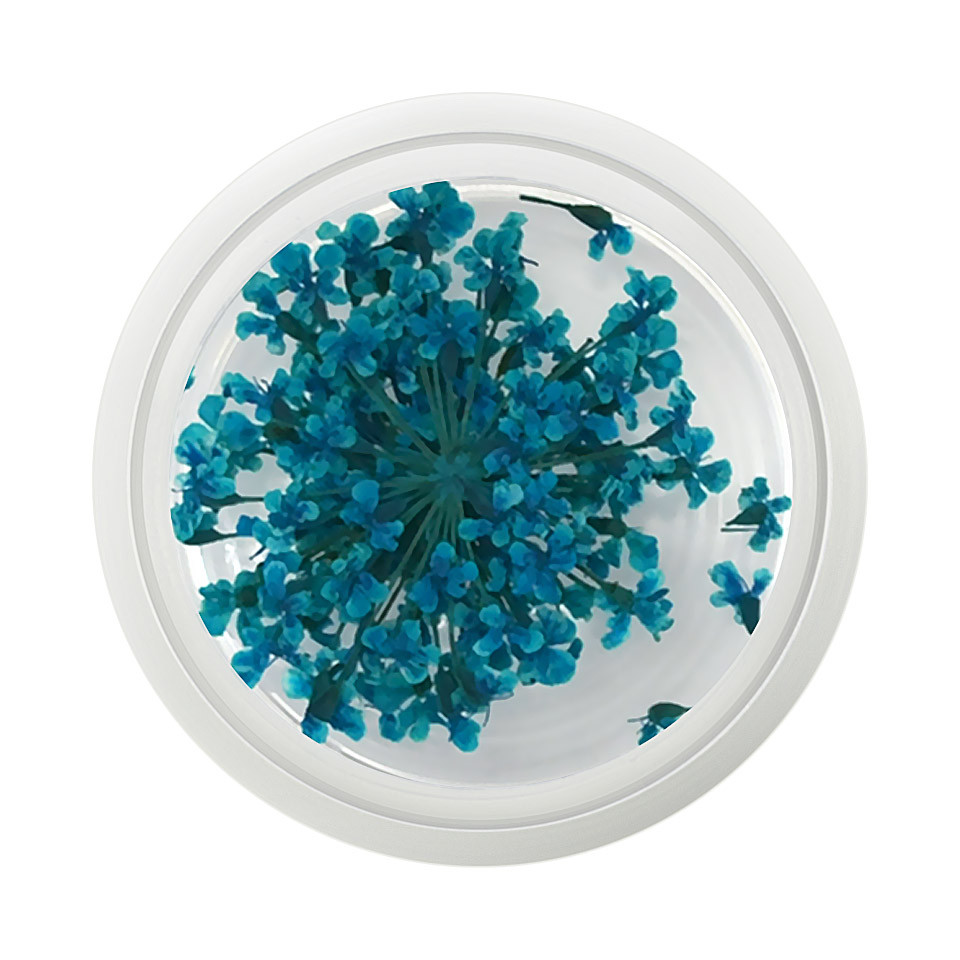 Floare uscata naturala unghii – Turquoise cu Comanda Online