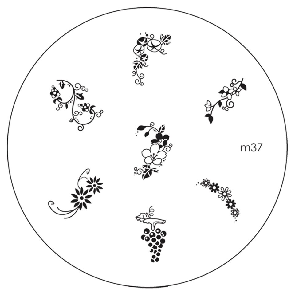 Matrita Metalica Stampila Unghii M37 - Nature cu Comanda Online